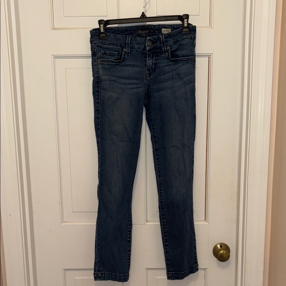 Level 99 Lily Crop Skinny Straight Premium Denin